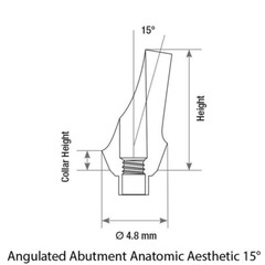 10x Dental Impl ant Anatomic Angulated 15° Abut ment Internal Hex 2.42mm Screw