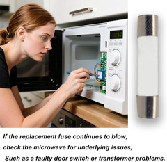 10 Pack Microwave Fuses Slow Blow Ceramic Fuse, 1 Box of 20A 250V 0.24×1.2in Uni