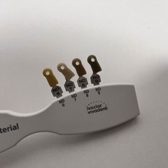 Dental IPS Natural Die Material Shade Guide Ivoclar Vivadent ND1-9 Abutment