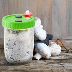 Mushroom Liquid Culture Mycelium JAR LIDS,Set of 12, Wide Mouth With PTFE Filter