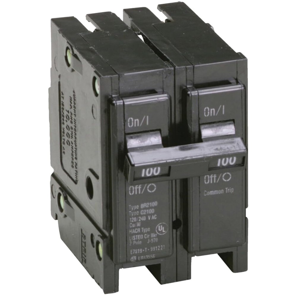 100A Double-Pole Circuit Breaker – Standard Type
