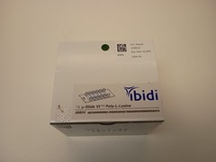 iBidi 80604 µ-Slide VI 0.4 Poly-L Lysine LOT of 11 pieces EXP 02/2024