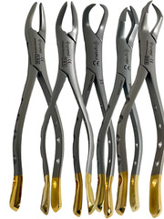 Premium German Dental Tooth Extracting Forceps Extraction Dental Instruments