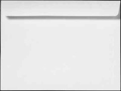 Cashier Depot 10″ x 13″ Booklet Envelopes, Sturdy 28lb. White, Gum Flap, 500/Box