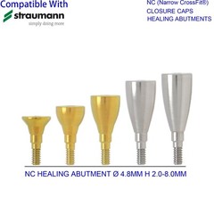 Dental Healing Abutment Healing Closure Mini Regular Fit Straumann ITI