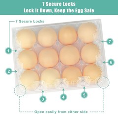 100 Packs Egg Cartons Cheap Bulk Plastic for 12 Eggs Clear Egg Cartons USA STOCK