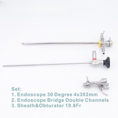Rigid Urology Cystoscope 30 Degree 4x302mm Sheath & Endoscope Bridge