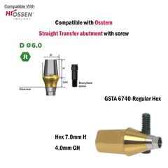 Titanium Straight Cemented Abutment D4.5/5.0/6.0 For Osstem Hiossen TS Regular