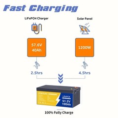 48V 100Ah LiFePO4 Battery with BMS Protection for Marine Off-Grid Power Golf Car