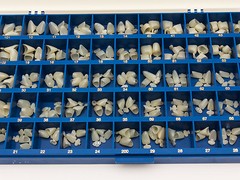 NEW POLYCARBONATE TEMPORARY DENTAL CROWNS BOX KIT 180 PCS WITH PAPER GUIDE CHART