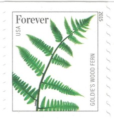 United States Postal Service Usps Ferns – 25