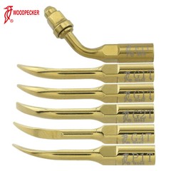 Woodpecker DTE Dental Ultrasonic Piezo Scaler LED Handpiece Satelec ACTEON/EMS