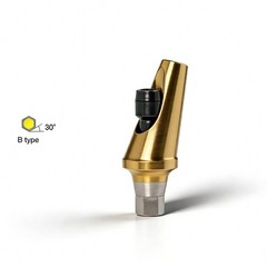 Hiossen ET 17° degree implant Angulated Ti Anatomic Abutment Dental Mini/Regular