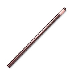 Pentonic Graphite Pencils HB2 Lead | Triangular Box Pack of 10 Pcs for School