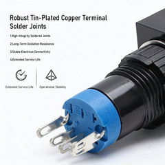 8mm Plastic 1NO1NC Round head momentary illuminated pushbutton switch LAS4Y-11/R