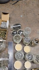 50 POUNDS OF ASSORTED TINNERS RIVETS AND OTHERS. TAKE THEM ALL.