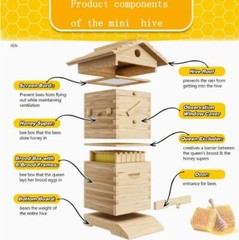 MIni 10X Beehive Bee hive Frames + Beekeeping Brood Fir Box & Bee Honey Filter
