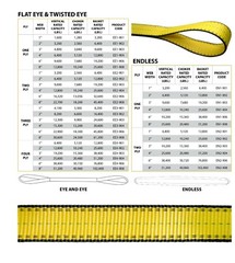 1″ x 3′ 2-Ply Lifting Slings Reinforced Eyes Poly Web Choker Pull Strap – 4 pack