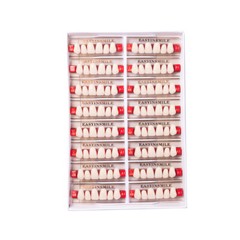 Dental Acrylic Resin Tooth Denture False Teeth Upper Anterior Lower 6Set*16Pc