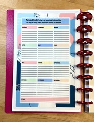 Daily Habits Personal Goals DASHBOARD for use with the TUL/Arc (8 disc) Planner