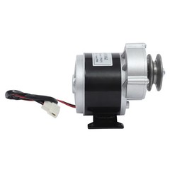 Brushed Motor Gear Reduction Electric Motor Gear Motor w/ Belt Pulley 24VDC 250W