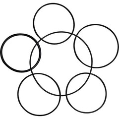 Danco 10714 0-Ring Assortment, Large One Size, No Color