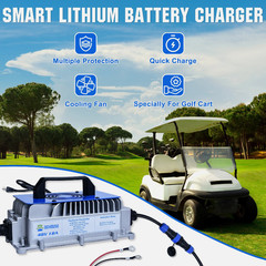 DCHOUSE 48V 100Ah Lithium Golf Cart Battery + 48V 18A Charger Trolling Motor RV