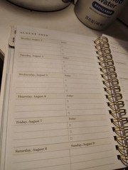Day Designer Boutique Edition Jul 2026-Jun 2027 Pocket Weekly/Monthly Planner