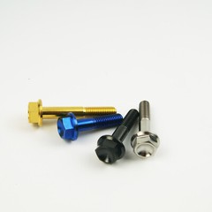 Gr5 Titanium Flange Head Bolts Fastener Hex M6 M8 15 20 25 30 35 40 45 50 55 60