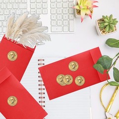100 Pack Cash Envelopes Small Money Envelopes for Cash Coins Check, 3.5×6.5 Inch
