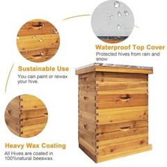 3 Layer Beekeeping Starter Hive Kit 2 Deep 1 Medium