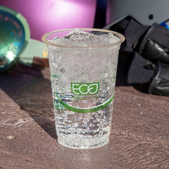 Greenstripe Clear Compostable 9Oz PLA Plastic Cups, Case of 1000, Disposable Ren