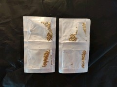 20 Packs Of 50 Kwikset Master & Bottom Pins original keying pins by Labpins NEW