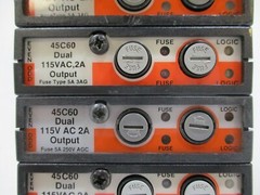 Lot of 10 Reliance Electric 45C60 AutoMate Dual 115V 2A Output Modules Qty 10