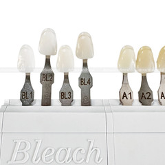 USA Dental Teeth Shade Guide Porcelain 20 Color A-D Tooth 4 Bleach Vivadent