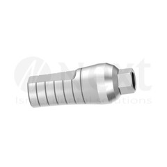 LotX100 Dental Straight Titanium Abutment Internal Hexagonal System screw 12 mm