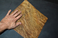 Camphor Burl Raw Wood Veneer Sheet 12 x 12 inches 1/42nd thick 4672-81