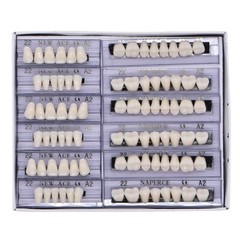 168PC Acrylic Resin Denture #22 Dental Upper Lower Shade A2 Teeth Set USA