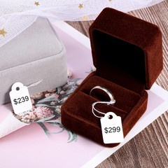 500 Pcs Small Price Tags with String Attached 0.6 X 0.95 in White Blank Marking