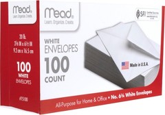 6 3/4 Inch White Gummed Flap Security Envelopes – 100 Count for Professionals