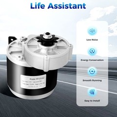 24V 350W Electric Vehicle Geared Motor with Copper Coils and Low Noise