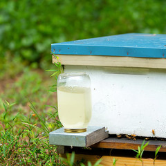 Bee Feeder Lids for Mason Jar- 8Pcs Metal Bee Feeders Entrance Beehive Lid- Beeh