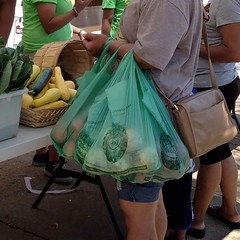Biobag Usa 100 Certified Compostable Shopping Bags 12 Lb Capacity 500 Count