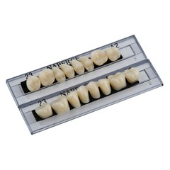 168Pcs/Box Acrylic Resin Denture #23 Dental Upper Lower Shade A2 Teeth Set US