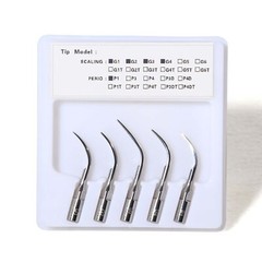 Dental Ultrasonic Scaler + 2 Bottles for EMS Cavitron SKYSEA / LED Handpiece