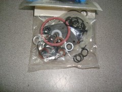 Ford Tractor & Ind Engine Roosa Master Fuel Inj Pump Repair Kit 144-172-192