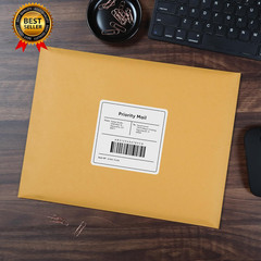 9 X 12 Clasp Envelopes with Deeply Gummed Flaps, Great for Filing, Storing or Ma
