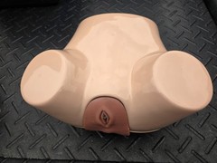 Pro Delphus Surgical Simulator For Urologic Procedures For Male & Female Anatomy