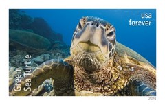 United States Postal Service Protect Sea Turtles 2024 5 Sheets Of 18