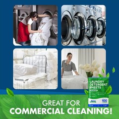 Eco Washer Sheets Detergent – 100 Loads, Zero Plastic 100 Count (Pack of 1)